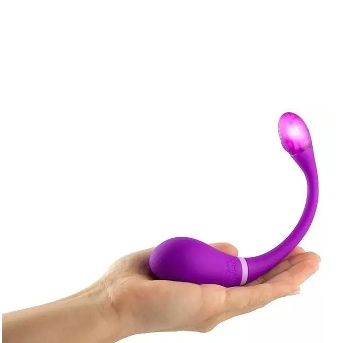 Diapositiva1061