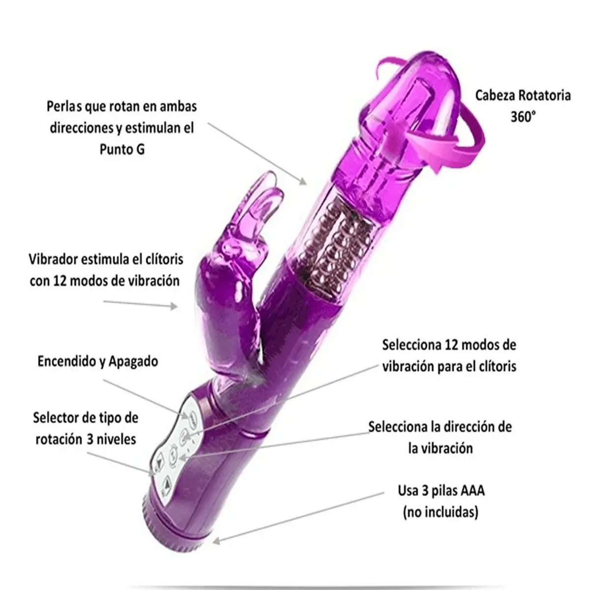 Diapositiva1136