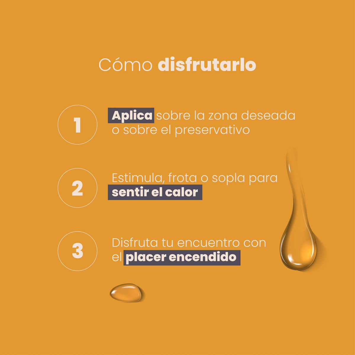 Diapositiva222