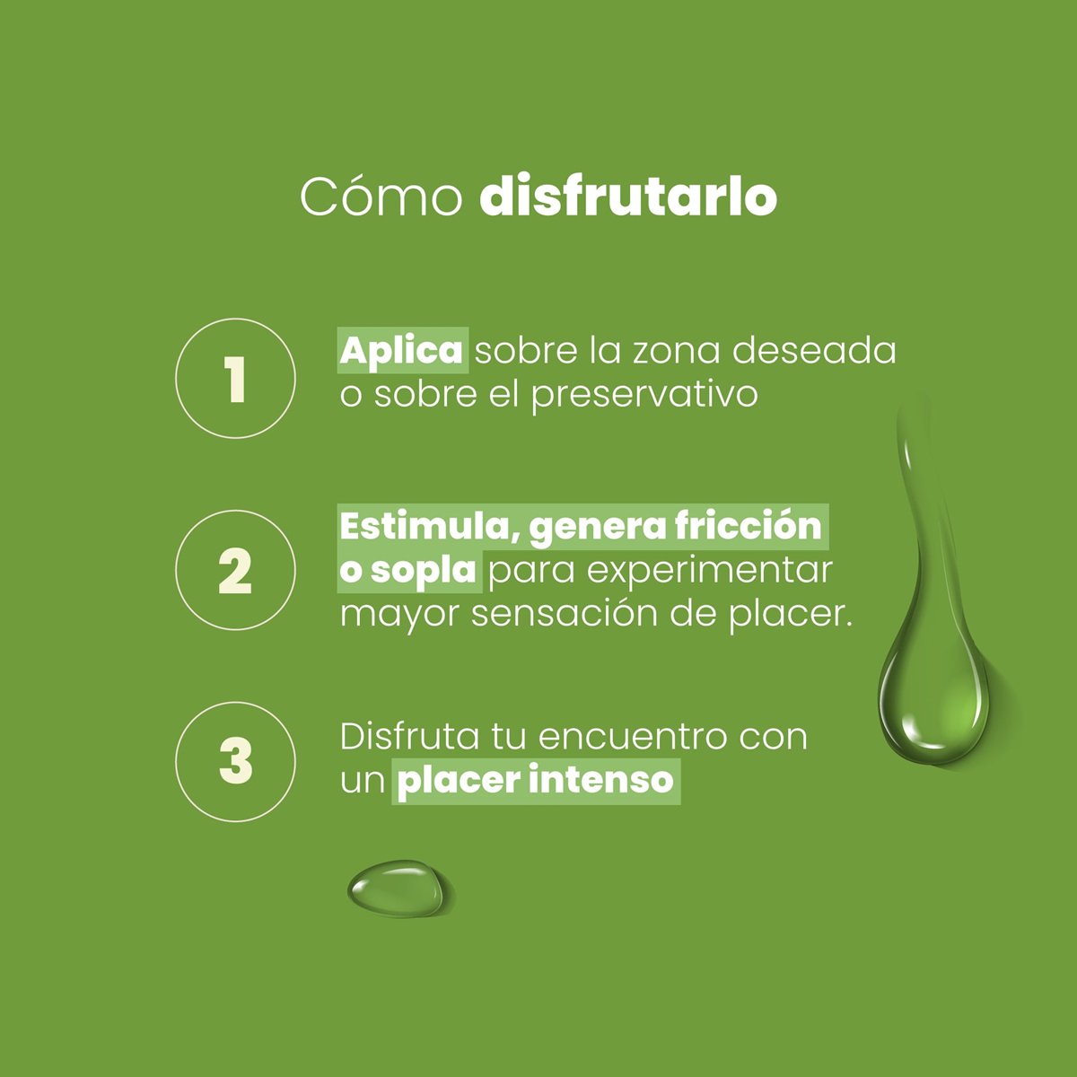 Diapositiva290