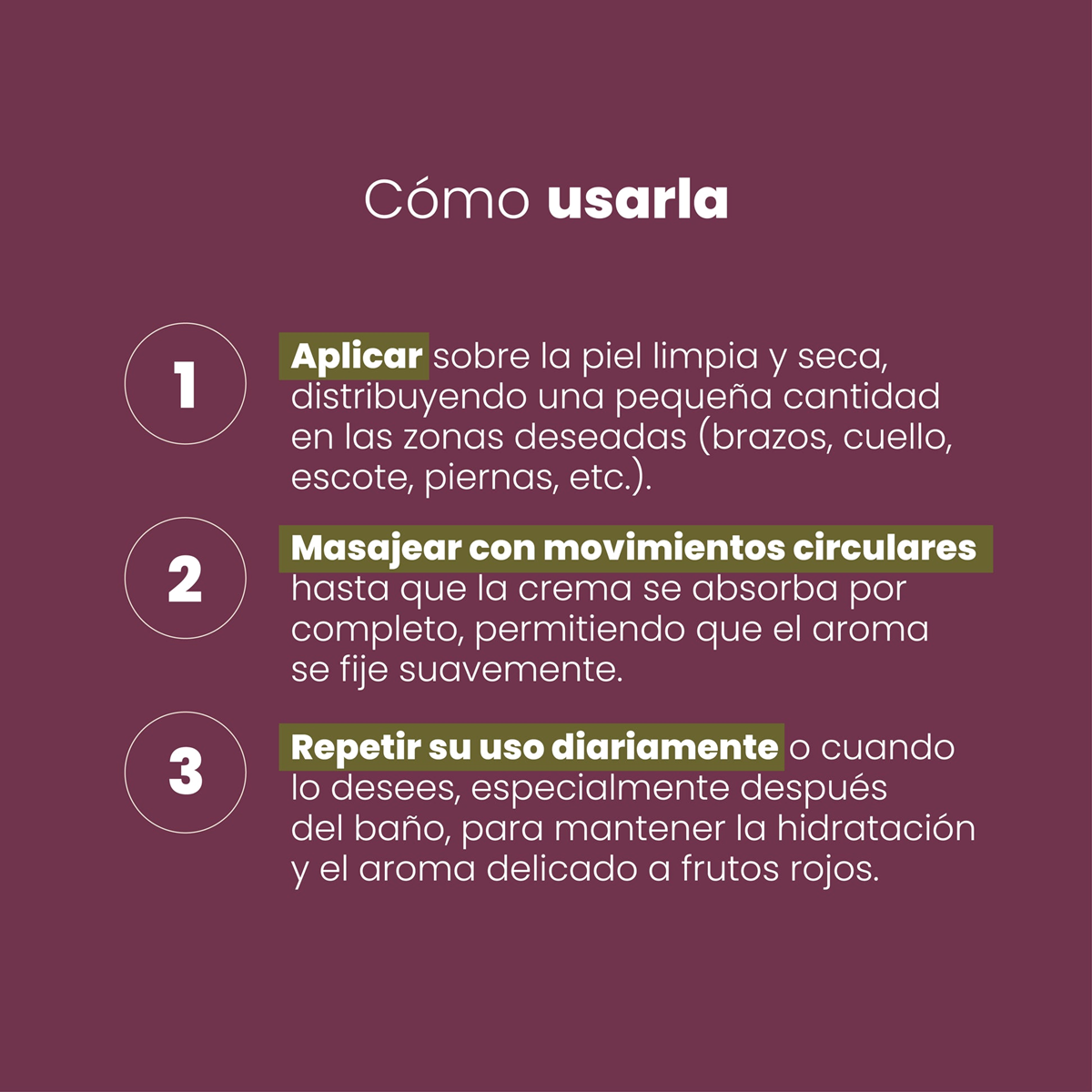 Diapositiva335